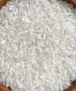 504 Rice