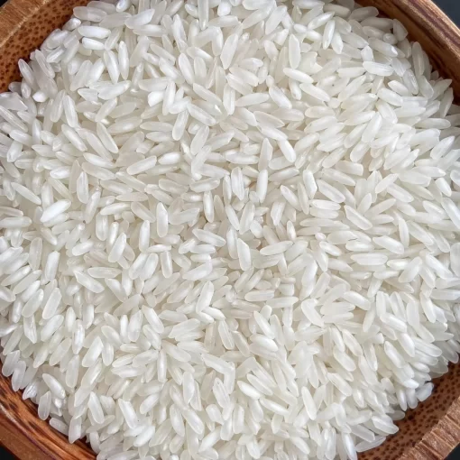 504 Rice