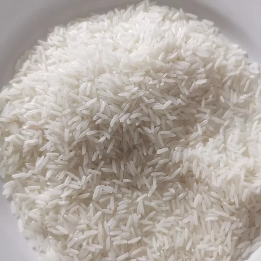 5451 Rice