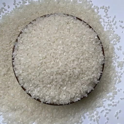 Japonica Rice