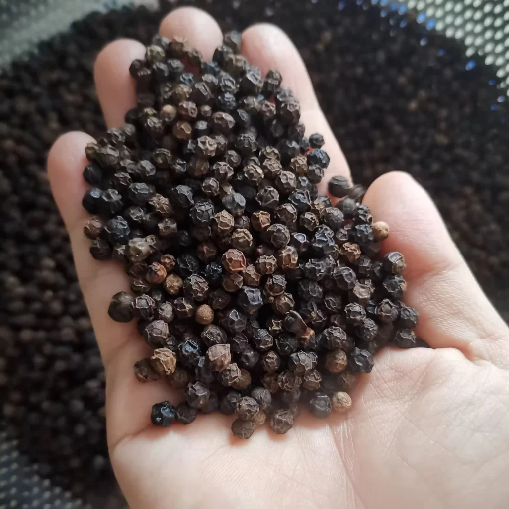 Pepper