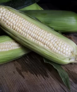 White Maize NON GMO