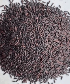 Vietnamese ST25 Purple Rice