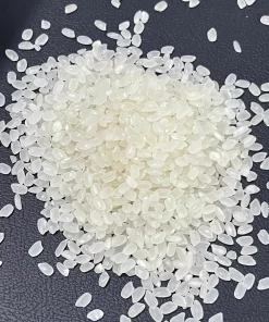 Japonica Rice