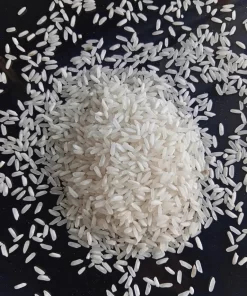 504 Rice