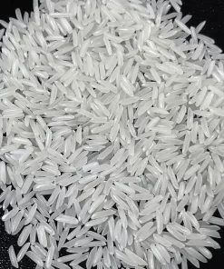 ST25 Rice